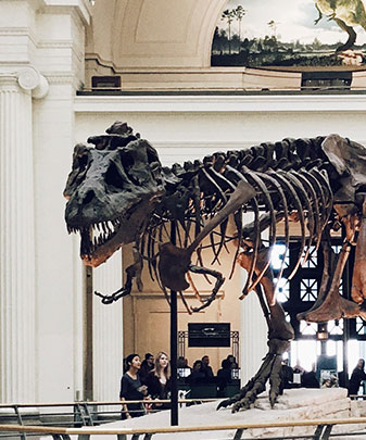 Здесь могут быть ваши фото и фото ваших работ