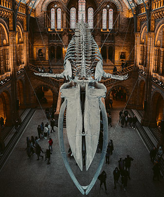 Здесь могут быть ваши фото и фото ваших работ